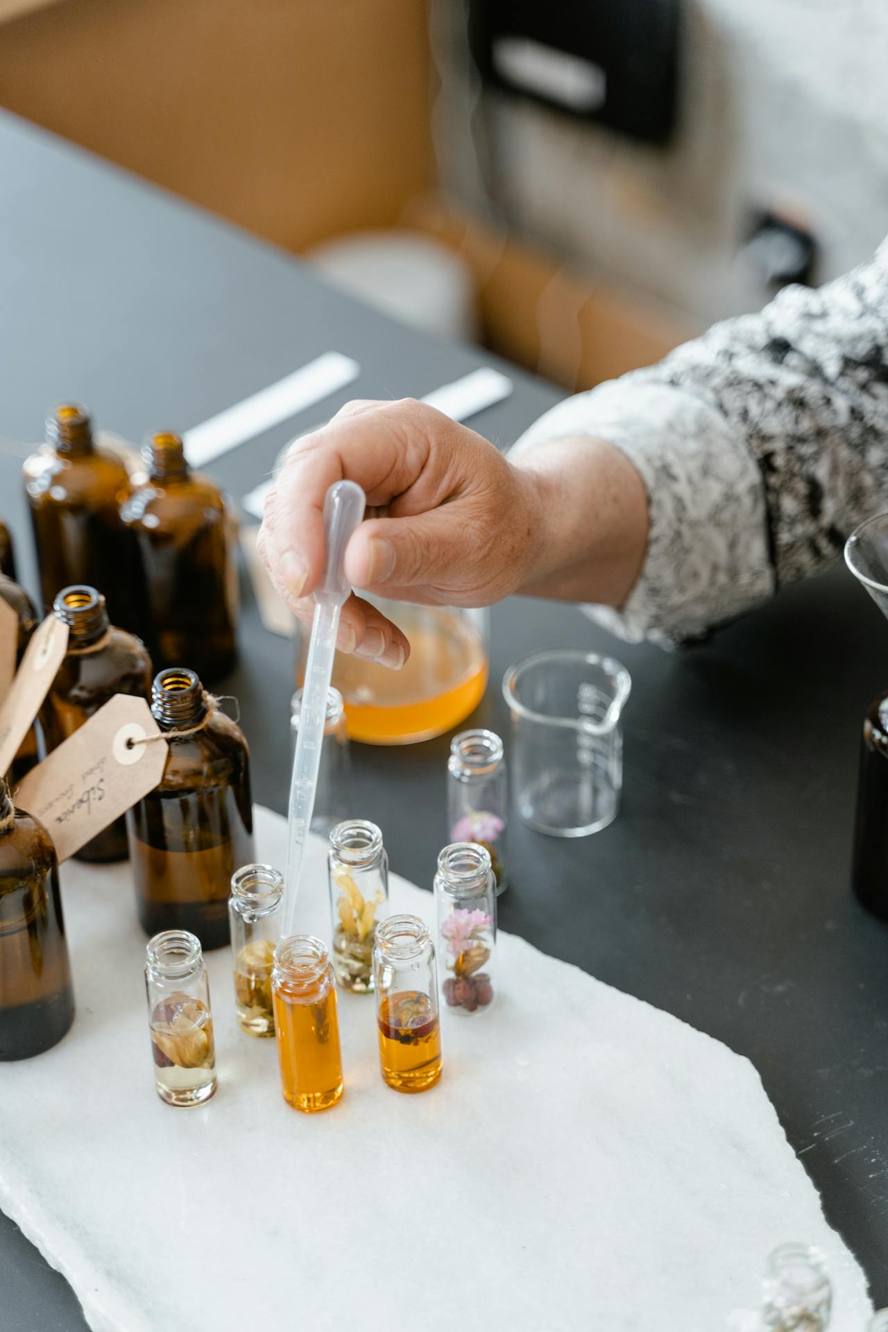 Participants à un atelier de naturopathie à Metz découvrant des conseils naturels et pratiques pour le bien-être et la santé. Ateliers de naturopathie à Metz pour apprendre à prendre soin de soi naturellement